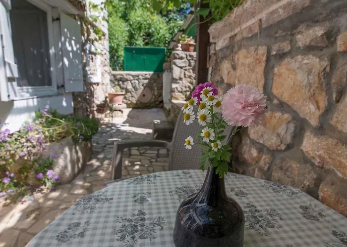 In 33230 Apartman